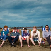 Dog Is Dead - List pictures