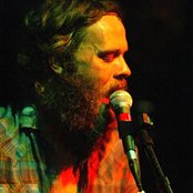 Little Wings - List pictures