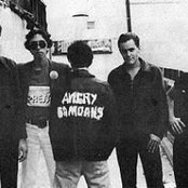 Angry Samoans - List pictures