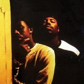 Low Profile - List pictures