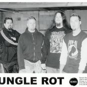 Jungle Rot - List pictures