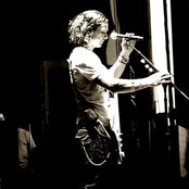 Bush - List pictures