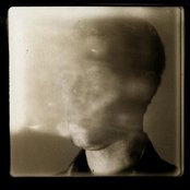 Luke Temple - List pictures