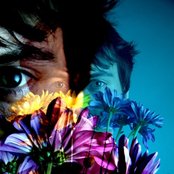 Panda Bear - List pictures