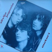 Divlje Jagode - List pictures