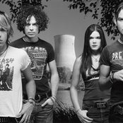 Dandy Warhols - List pictures