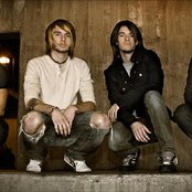 Tickle Me Pink - List pictures