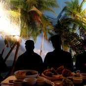 The Magnetic Fields - List pictures