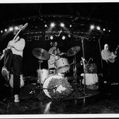 Los Straitjackets - List pictures