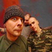 Lipa - List pictures