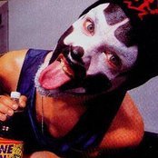 Shaggy 2 Dope - List pictures