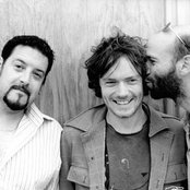 Damien Rice - List pictures