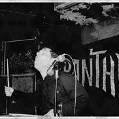 Japanther - List pictures