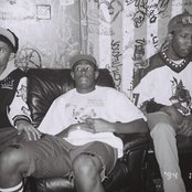 Mellowhype - List pictures