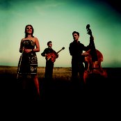 Hot Club Of Cowtown - List pictures