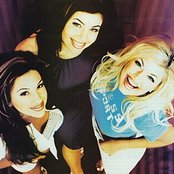 Wild Orchid - List pictures