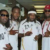 T.o.k - List pictures