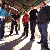 Loquat - List pictures