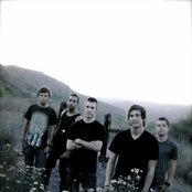 Adora - List pictures