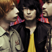 Does - List pictures