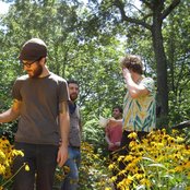 Woods - List pictures