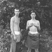 Lamb - List pictures