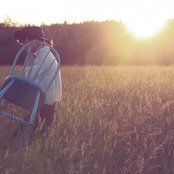 Amanda Bergman - List pictures