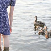 Memoryhouse - List pictures