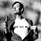 Jarvis Cocker - List pictures