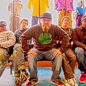 Shrub - List pictures