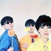 Pizzicato Five - List pictures