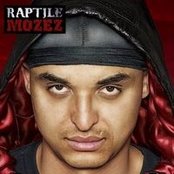 Raptile - List pictures