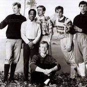 Haircut 100 - List pictures