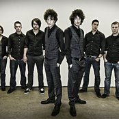 Tangarine - List pictures