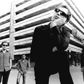 Mor Ve Ötesi - List pictures