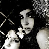 Smoke Fairies - List pictures