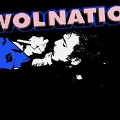 Awolnation - List pictures