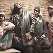 Stuck Mojo - List pictures