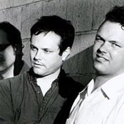 Mr T Experience - List pictures