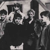 Rostok Vampires - List pictures