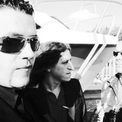 The Dogs - List pictures