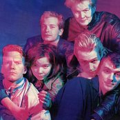 Sugarcubes - List pictures