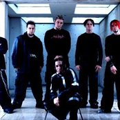 Crossbreed - List pictures