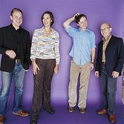 Stereolab - List pictures