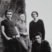 Bush - List pictures