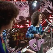 Rare Bird - List pictures