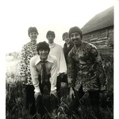 The Buckinghams - List pictures