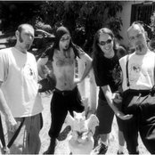 Bad Acid Trip - List pictures