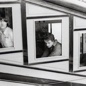 Lilys - List pictures