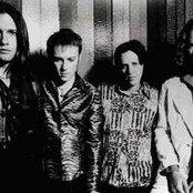 Catherine - List pictures